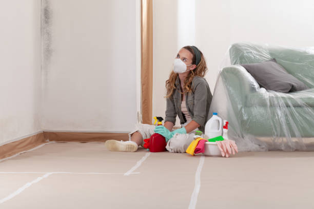 Reliable Black Mold Removal contractor in Union City, PA by WQB Mold Removal